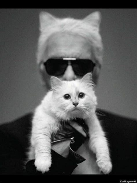 karl lagerfeld love cat.